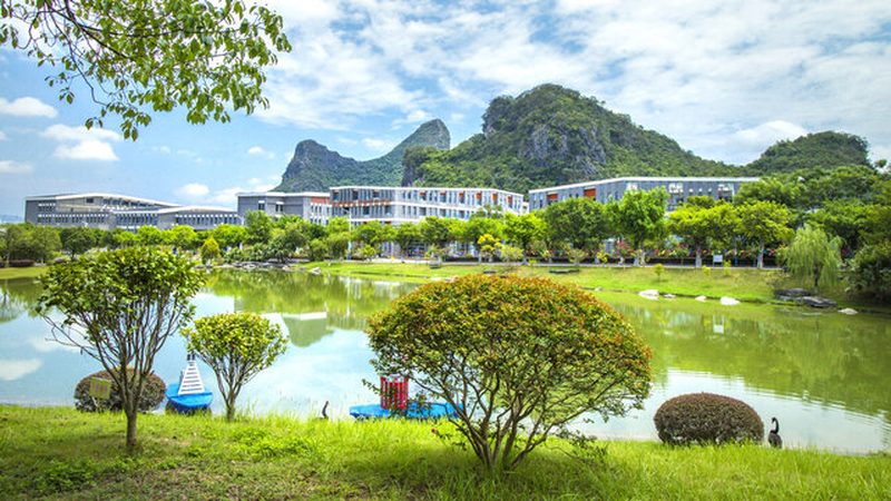 揭秘电子加工代工利润之谜：揭秘背后的盈利模式