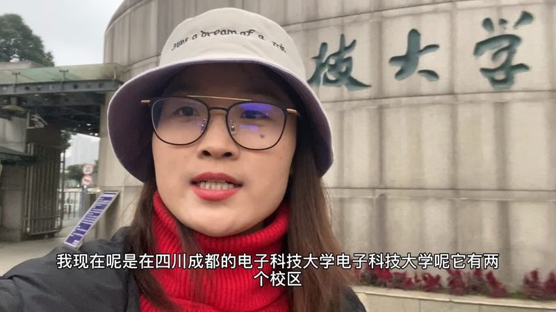 LED电子元件批发价格，揭秘其背后的市场逻辑